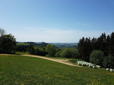 Ausblick.jpg