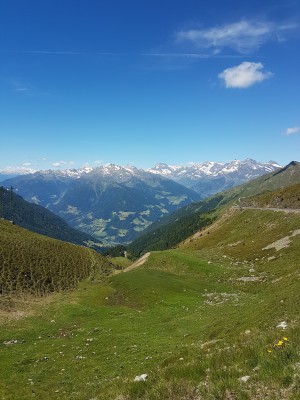 Ein Träumchen.jpg