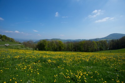 IMG_3405.jpg